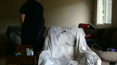 jameswolf777 online show from September 27, 2:44 pm