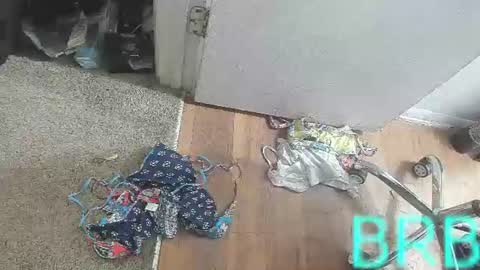 Bootyshows online show from August 2, 3:54 pm