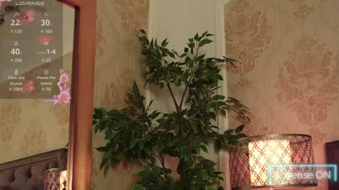 JaneDevine online show from December 18, 10:08 am