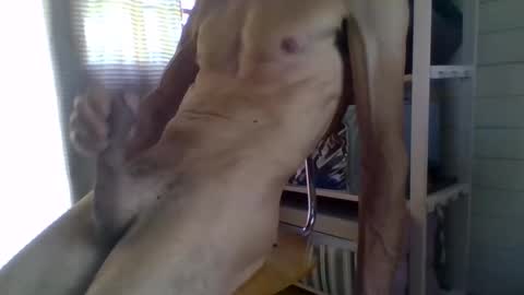 Snapshot of janzibor chatting on May 26, 2:02 pm janzibor online show from May 26, 2:02 pm