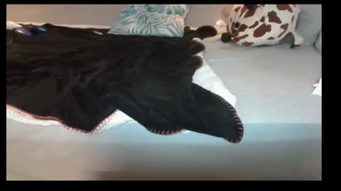 jasminandzhao online show from July 7, 7:23 am