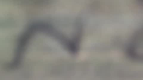 Snapshot of jason2019845210 chatting on October 29, 11:50 pm jason2019845210 online show from October 29, 11:50 pm