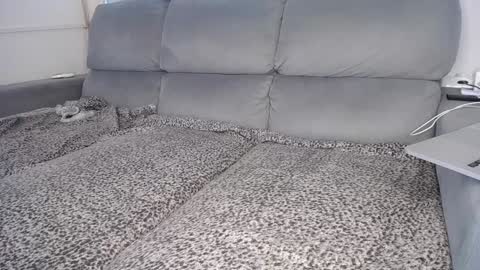 Snapshot of javierandaniel chatting on December 5, 4:01 pm Javier online show from December 5, 4:01 pm