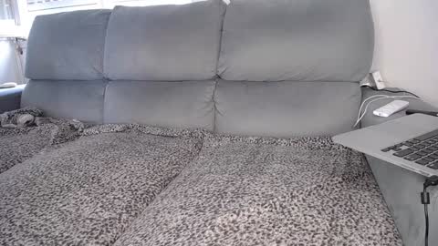 Snapshot of javierandaniel chatting on December 7, 4:47 pm Javier online show from December 7, 4:47 pm