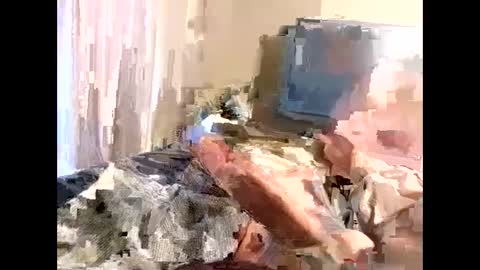 Jay99 online show from September 10, 12:05 pm