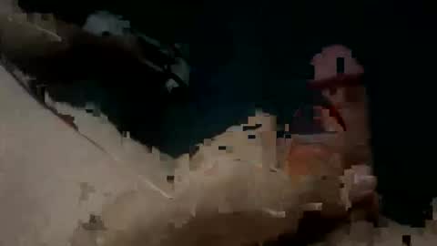 Snapshot of jay_peso chatting on November 18, 7:51 pm Jay Peso online show from November 18, 7:51 pm