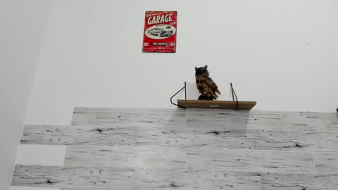 Jaycreedd online show from October 1, 5:02 am