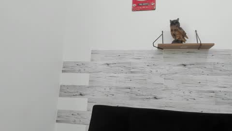 Jaycreedd online show from November 2, 4:42 pm