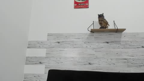 Jaycreedd online show from November 7, 4:01 am