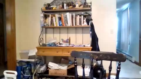 Snapshot of jaythenorth chatting on February 11, 4:56 pm jaythenorth online show from February 11, 4:56 pm