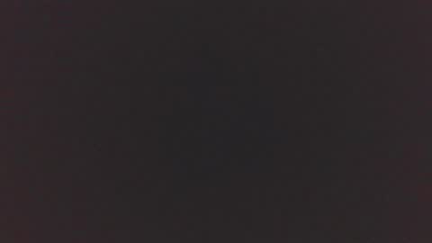 jdog00133 online show from November 16, 8:58 pm