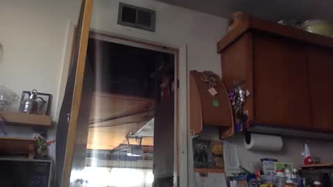 jdubba420 online show from October 27, 11:09 pm