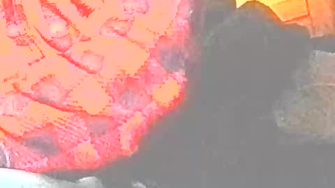 jedishy925585 online show from December 17, 9:04 am