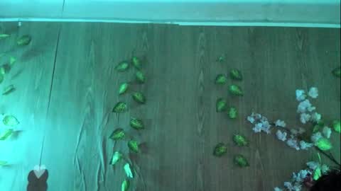 Jenelotizz online show from September 27, 6:24 pm