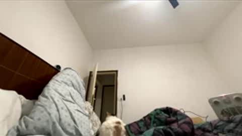 jericho810333 online show from March 30, 11:06 pm