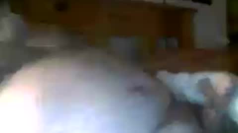 Snapshot of jerkmate6666 chatting on July 15, 8:52 am jerkmate6666 online show from July 15, 8:52 am