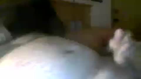 Snapshot of jerkmate6666 chatting on July 20, 6:28 am jerkmate6666 online show from July 20, 6:28 am