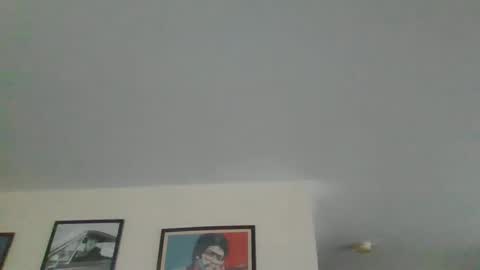 Harry online show from December 28, 9:31 am