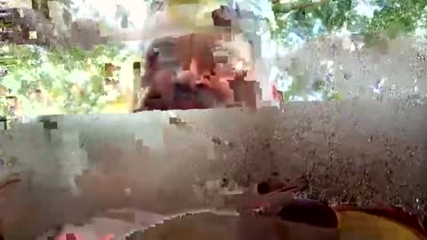 jerzey_n_bam online show from September 14, 11:26 pm