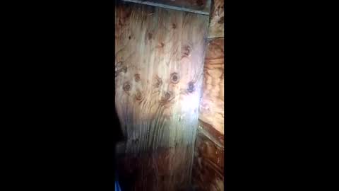 Snapshot of jessemwl8 chatting on March 26, 11:16 am jessemwl8 online show from March 26, 11:16 am