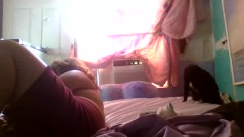 dovedianna online show from July 1, 12:40 pm