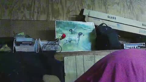 Dixon Cider online show from March 6, 6:19 am