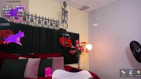 jhos online show from November 4, 2:49 pm