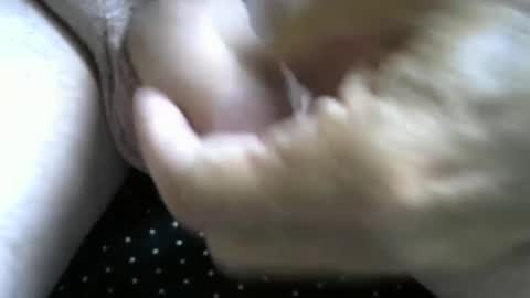 Snapshot of jimismiles chatting on October 7, 6:16 pm jimismiles online show from October 7, 6:16 pm