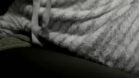 jimmiguel12345678 online show from December 25, 2:14 am