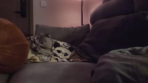 jj_jayjayq online show from February 8, 12:19 pm