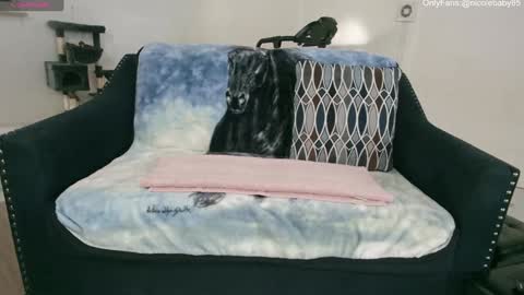 Nicole  Allen online show from January 1, 10:24 pm