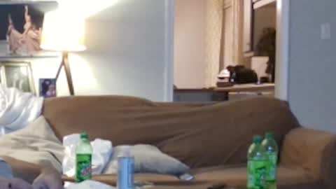 jkelly92081bean online show from October 5, 10:24 am