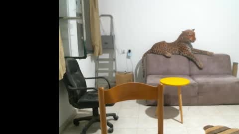 jlmbud online show from October 11, 10:41 pm