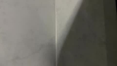 Snapshot of joansilva_ chatting on January 5, 4:47 am Joan Silva online show from January 5, 4:47 am