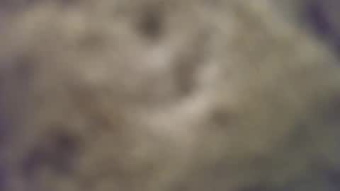 joemomma612 online show from October 14, 3:40 am