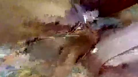 jogador956671 online show from November 3, 11:59 pm