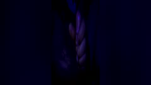 Snapshot of johnbruce23 chatting on June 25, 11:37 am johnbruce23 online show from June 25, 11:37 am