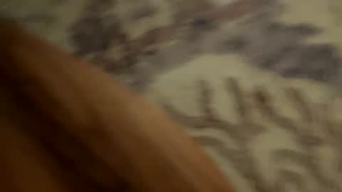 Snapshot of johnny235813 chatting on September 18, 3:52 am johnny235813 online show from September 18, 3:52 am