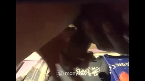 johnnyshung1 online show from December 13, 7:47 am