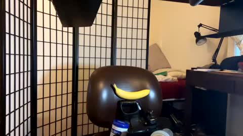 Snapshot of jondoe3657 chatting on January 23, 3:58 am jondoe3657 online show from January 23, 3:58 am