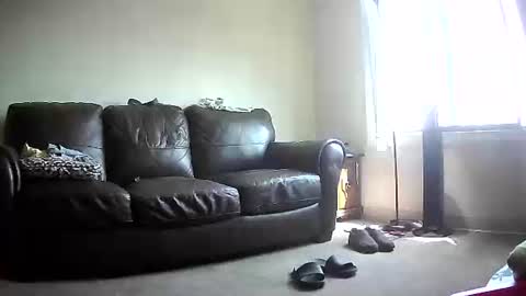 John online show from June 8, 4:07 pm