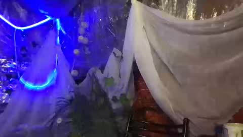 Snapshot of jony_marta chatting on October 16, 2:51 pm Jony Marta GMT 2000-0100 every day online show from October 16, 2:51 pm