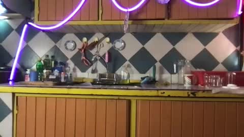 Snapshot of jony_marta chatting on November 19, 6:30 pm Jony Marta GMT 2000-0100 every day online show from November 19, 6:30 pm