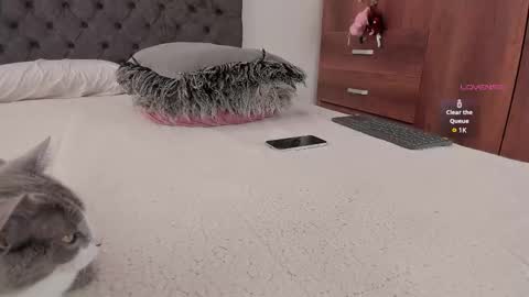 Snapshot of jordanmusk_ chatting on November 20, 6:07 pm Will online show from November 20, 6:07 pm