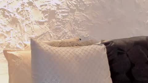 Snapshot of joselin_rouse chatting on July 6, 3:03 pm joselin online show from July 6, 3:03 pm