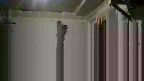 sissy josphine online show from October 14, 6:36 am