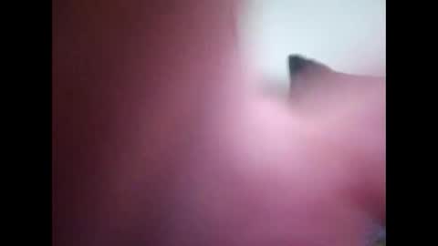 Snapshot of joshinterchecks chatting on February 25, 3:10 pm joshinterchecks online show from February 25, 3:10 pm