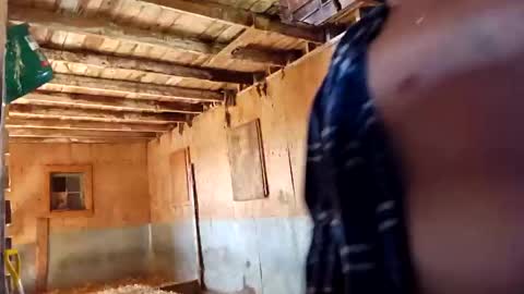 joshnewman540 online show from September 14, 7:02 pm