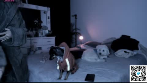 josephine   independent model    online show from January 21, 5:49 am