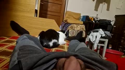 Snapshot of joyboy465468 chatting on October 26, 4:02 pm joyboy465468 online show from October 26, 4:02 pm